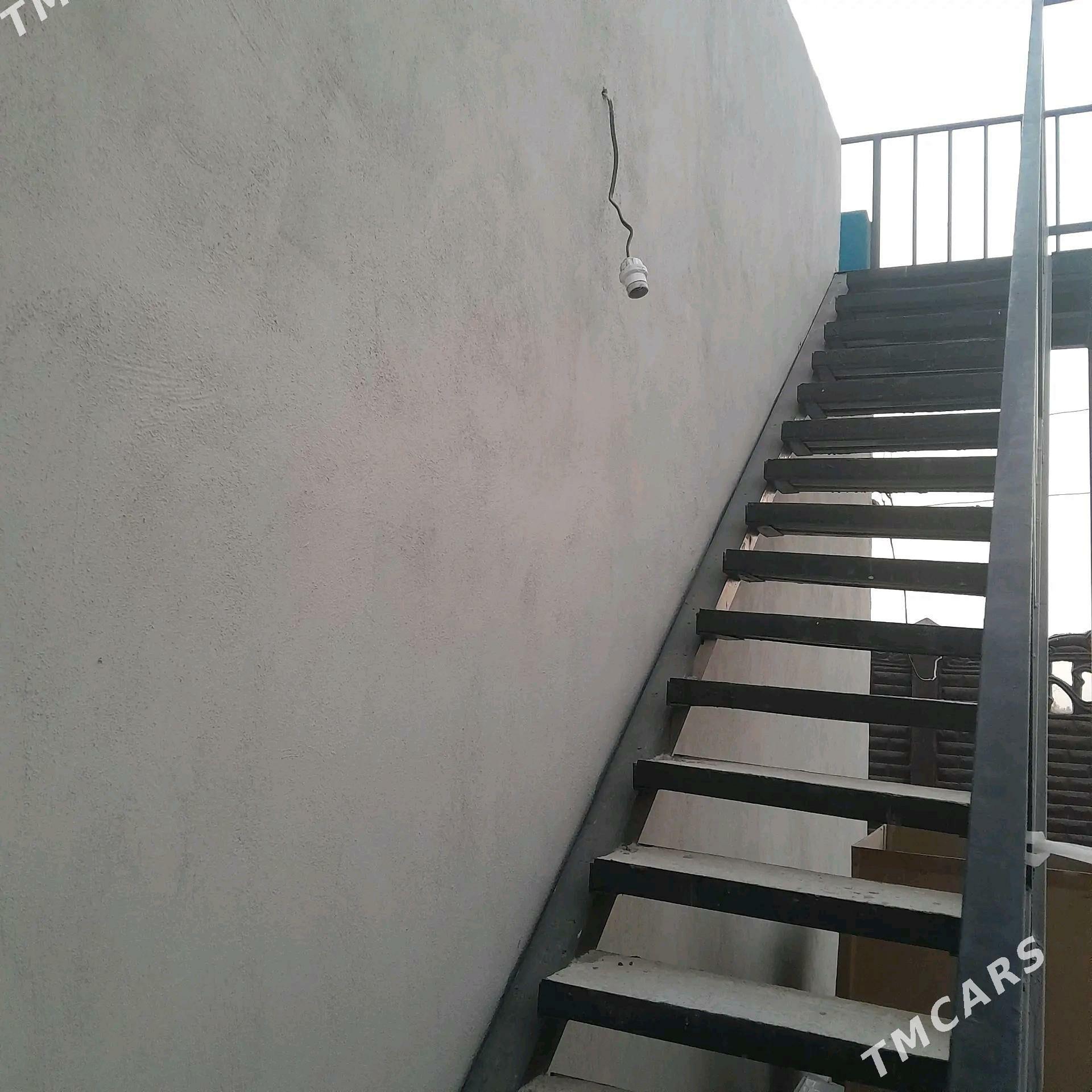 satlyk jay - Saýat - img 9