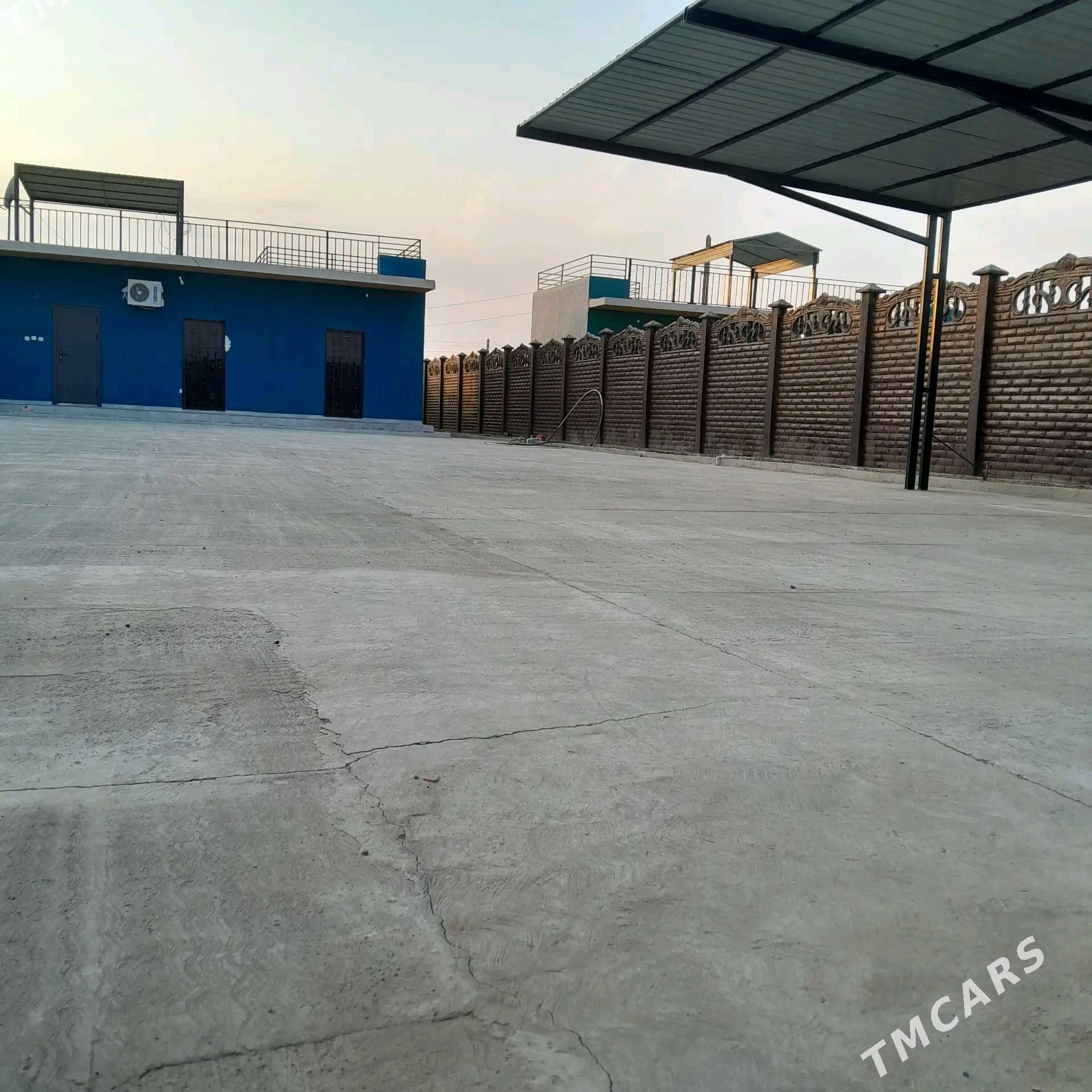 satlyk jay - Saýat - img 8