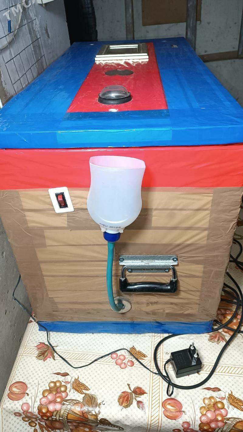 inkubator инкубатор - Mary - img 7