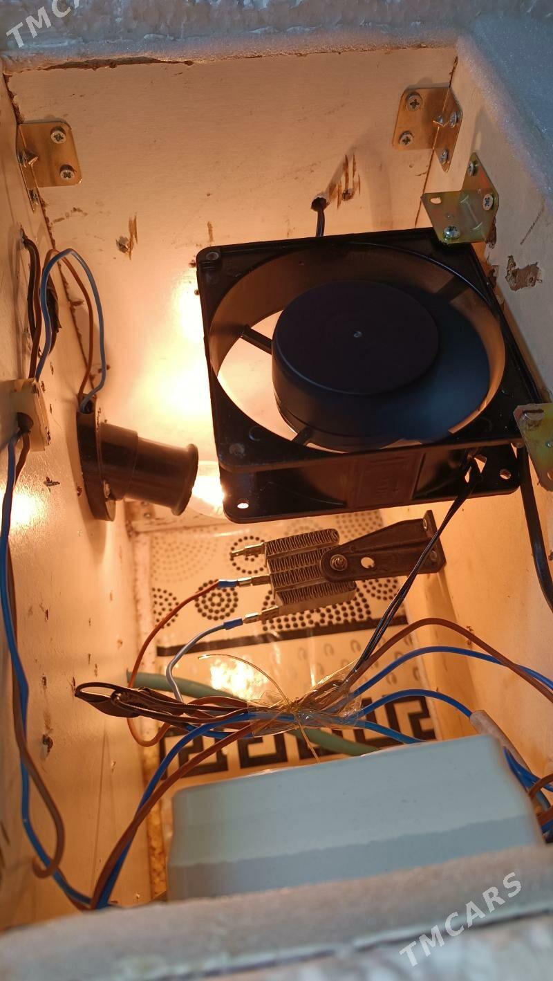 inkubator инкубатор - Mary - img 6