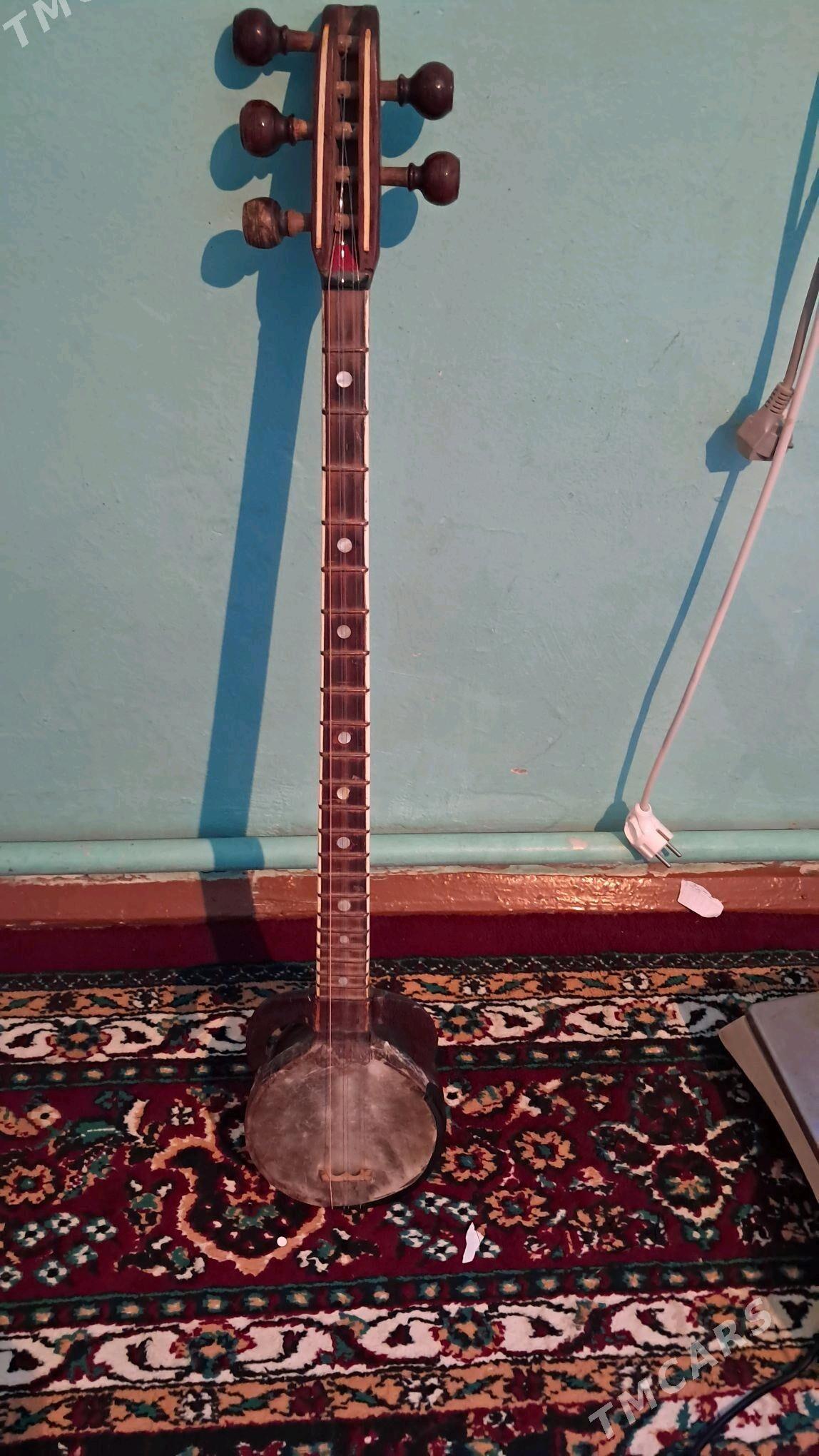 Plektrli dutar (tar) - Tejen - img 1