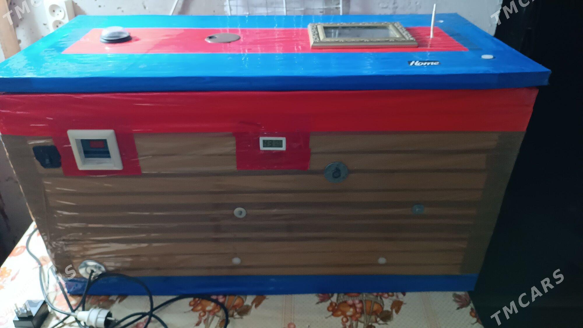 inkubator инкубатор - Mary - img 3