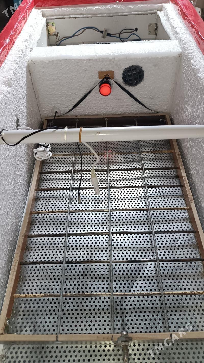 inkubator инкубатор - Mary - img 8