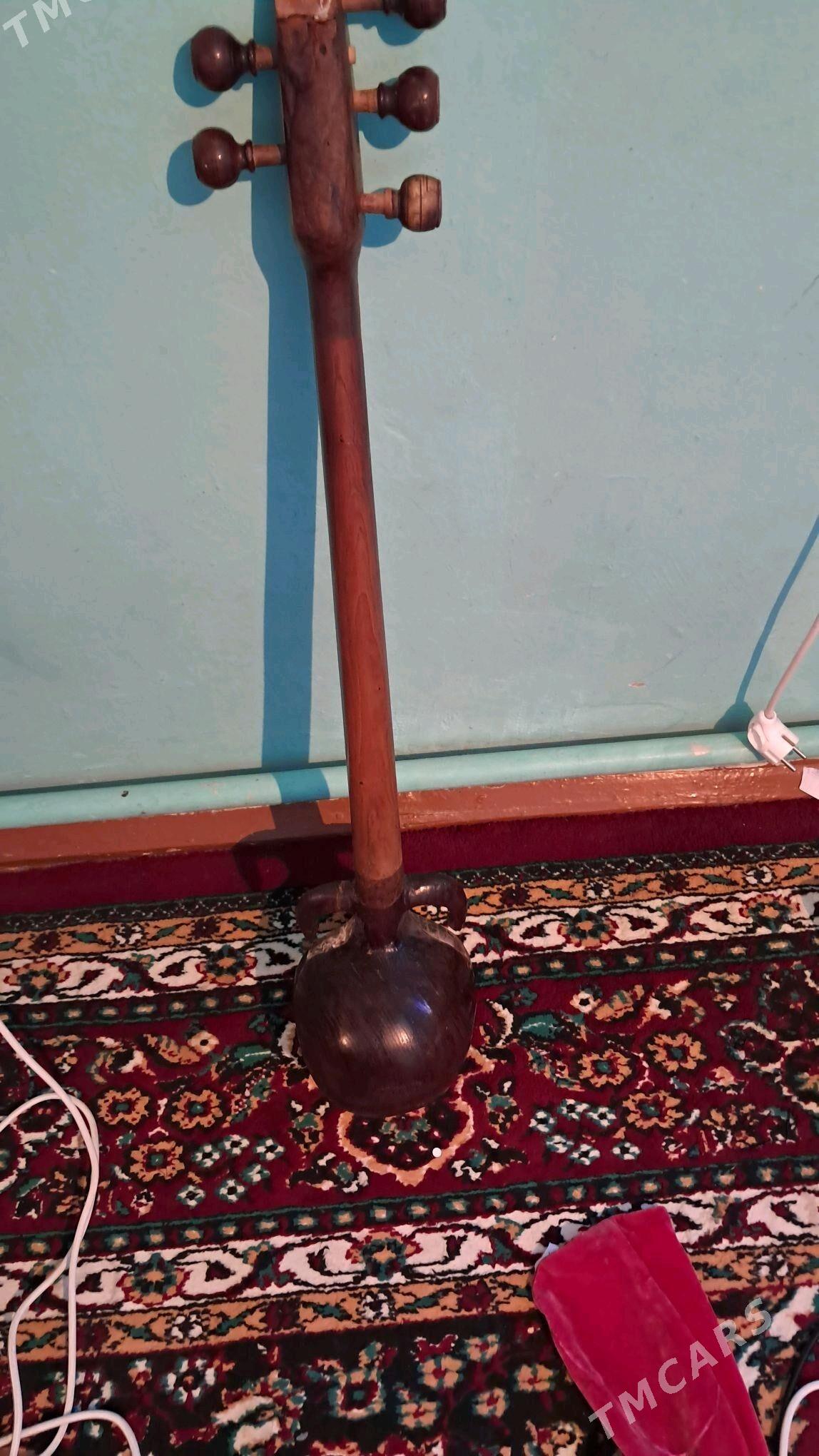 Plektrli dutar (tar) - Tejen - img 3