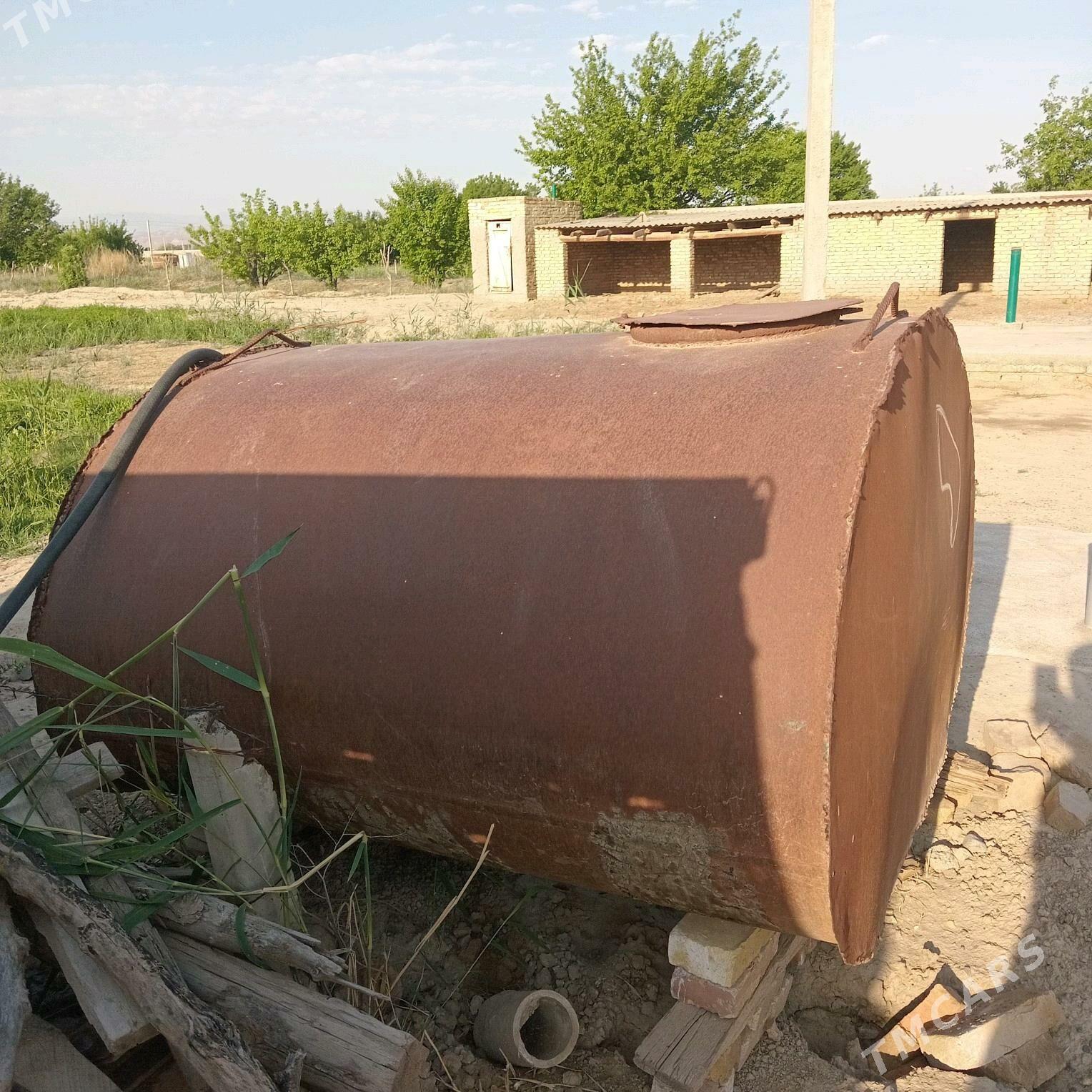 satlyk bocga - Kaka - img 2