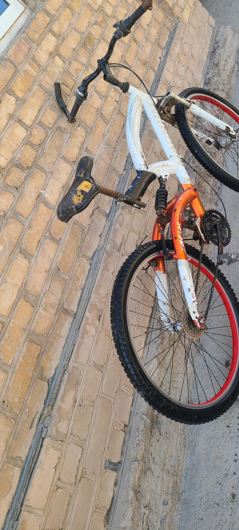 welsepet tigir kama welik - Mary - img 9