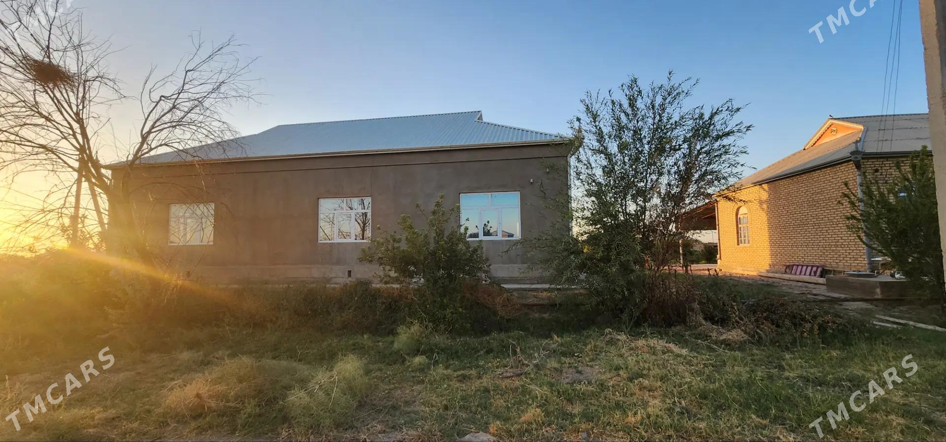 Eyesinden Plan jaý Murgap etr - Murgap - img 3