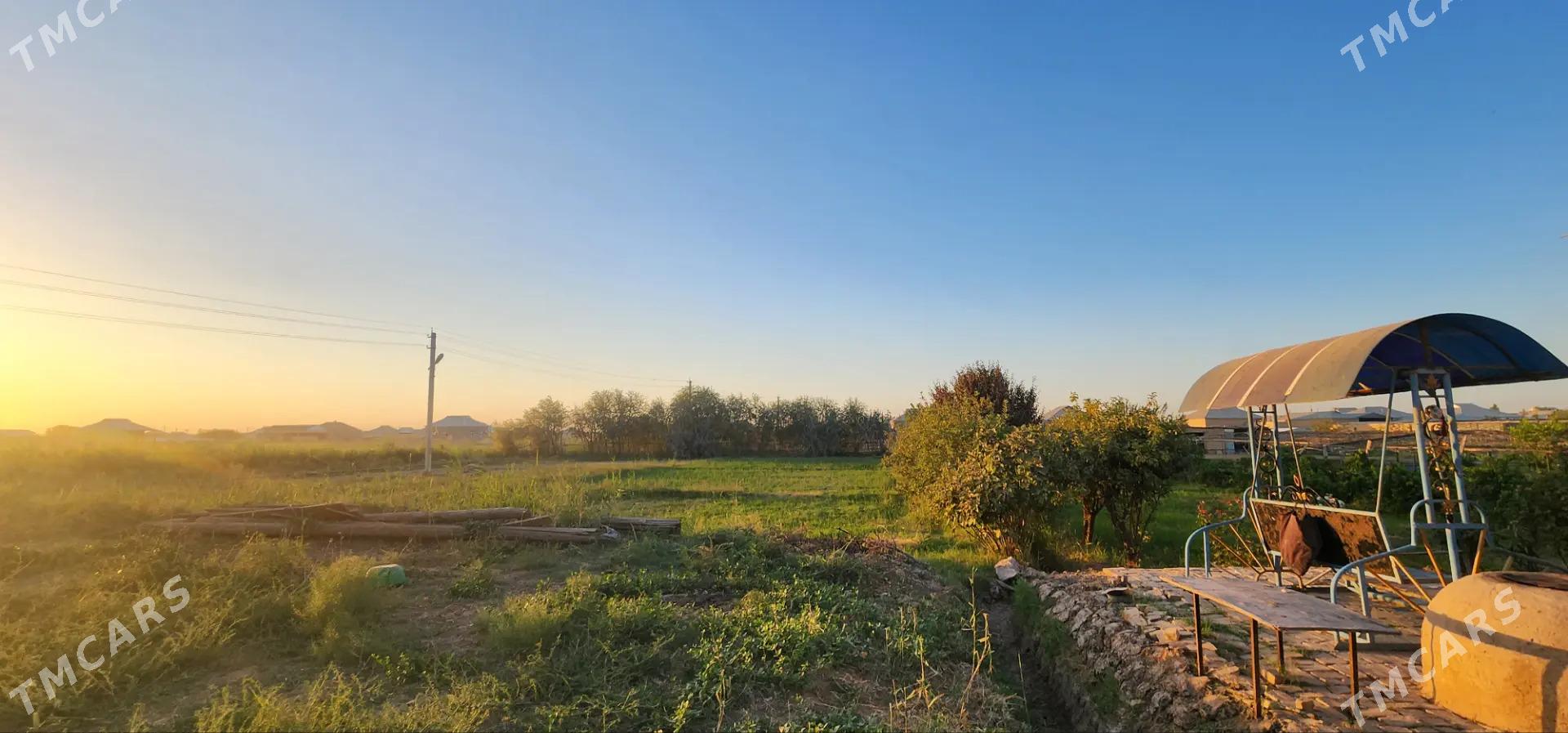 Eyesinden Plan jaý Murgap etr - Murgap - img 4