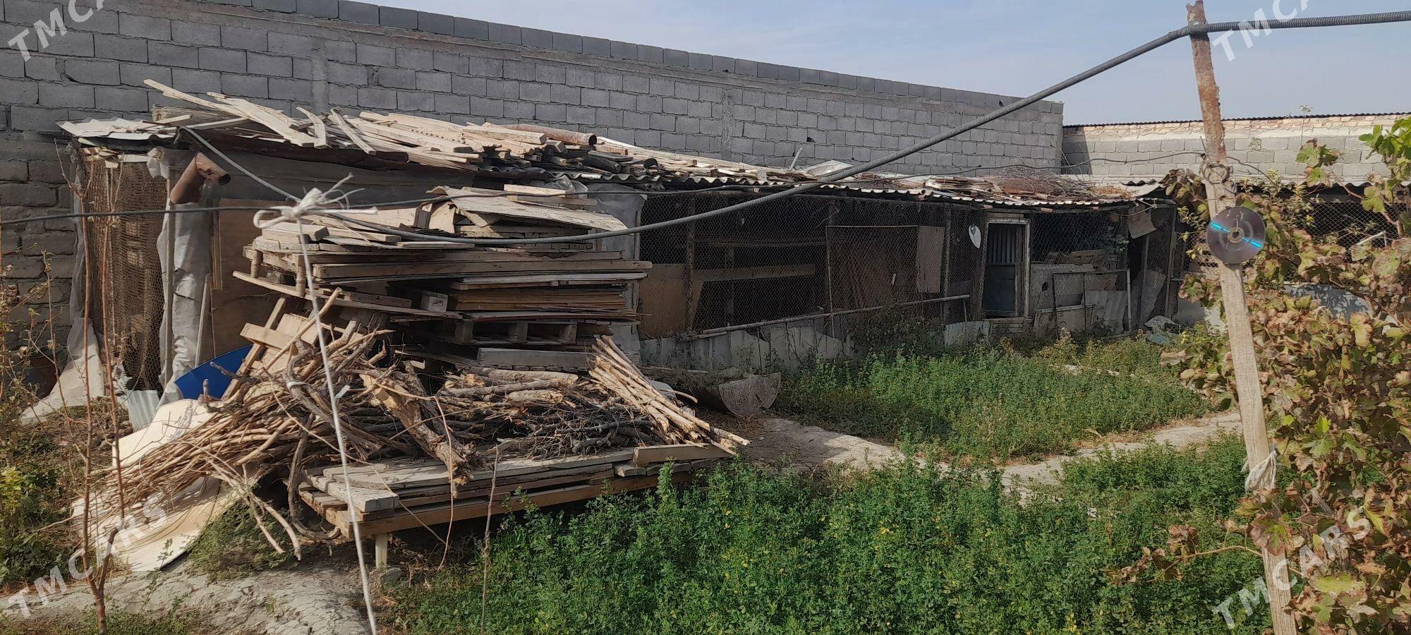 satlyk ketek - Gökdepe - img 2