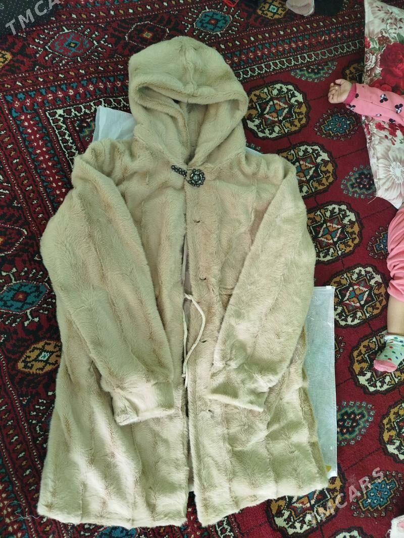 şuba - Aşgabat - img 2