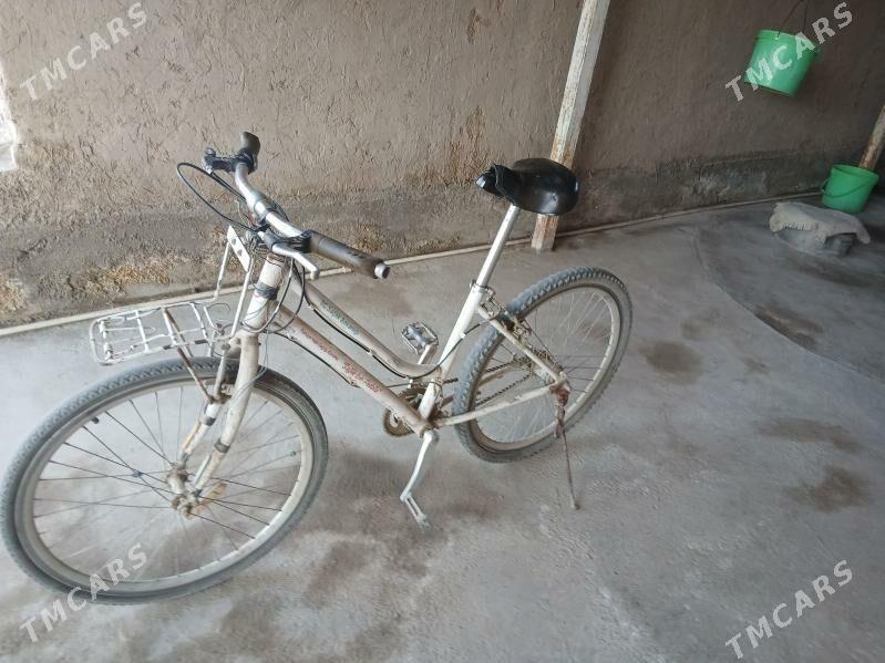 sport welesepedi - Кёнеургенч - img 2