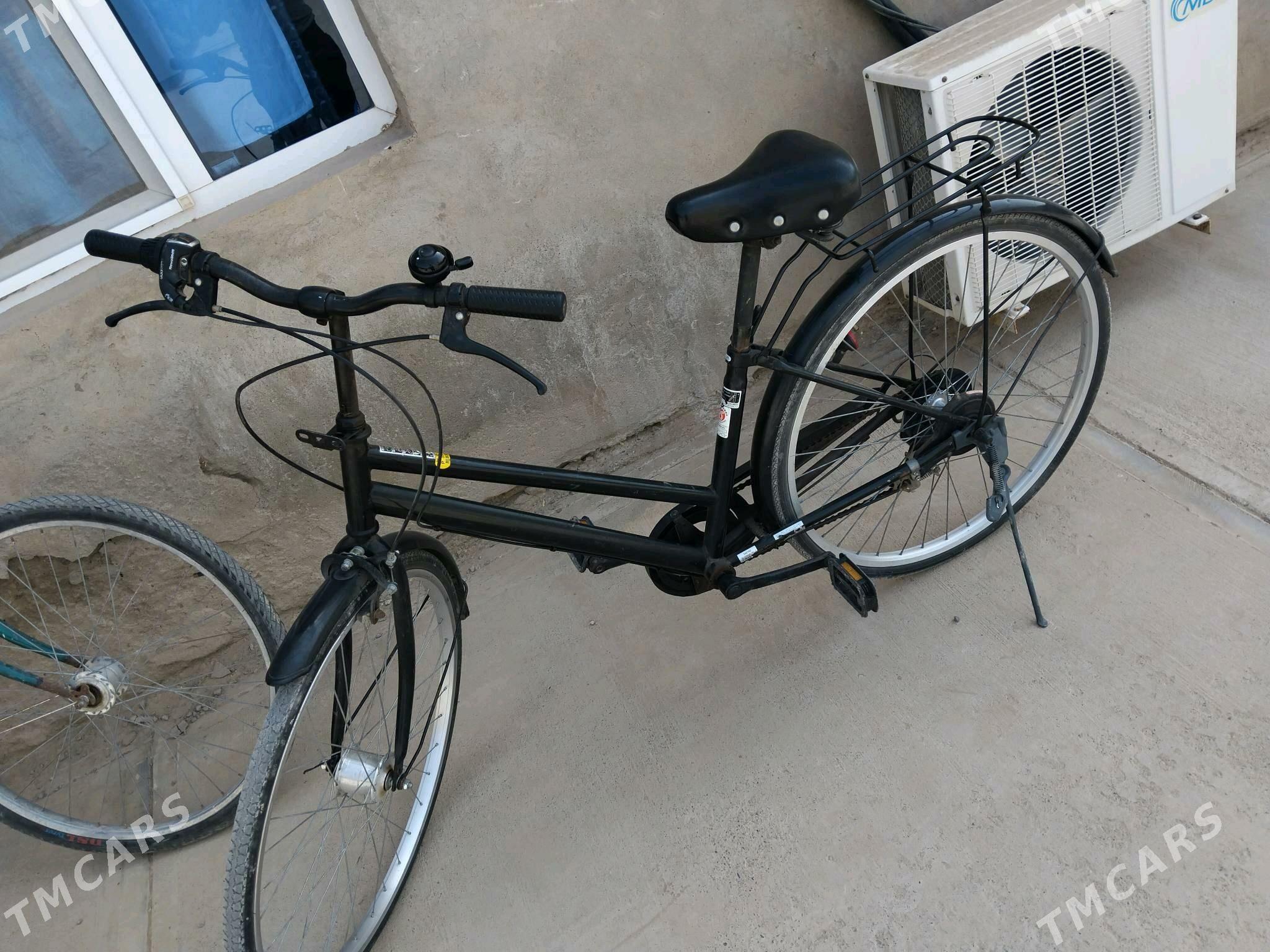 Tigir 26 - Tejen - img 1