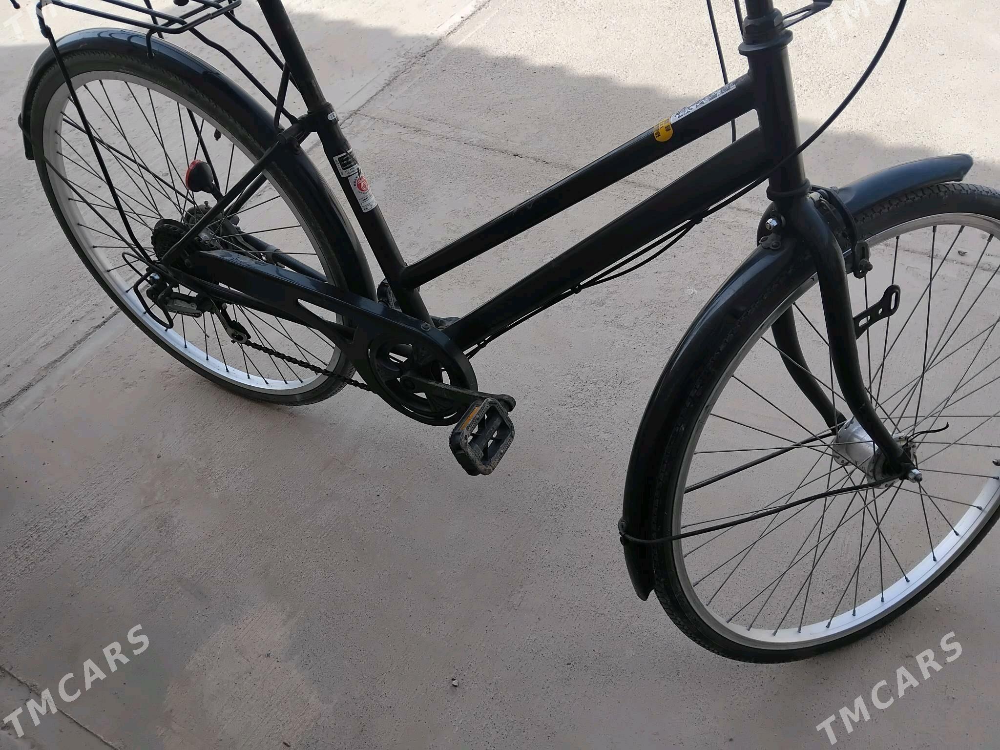 Tigir 26 - Tejen - img 3