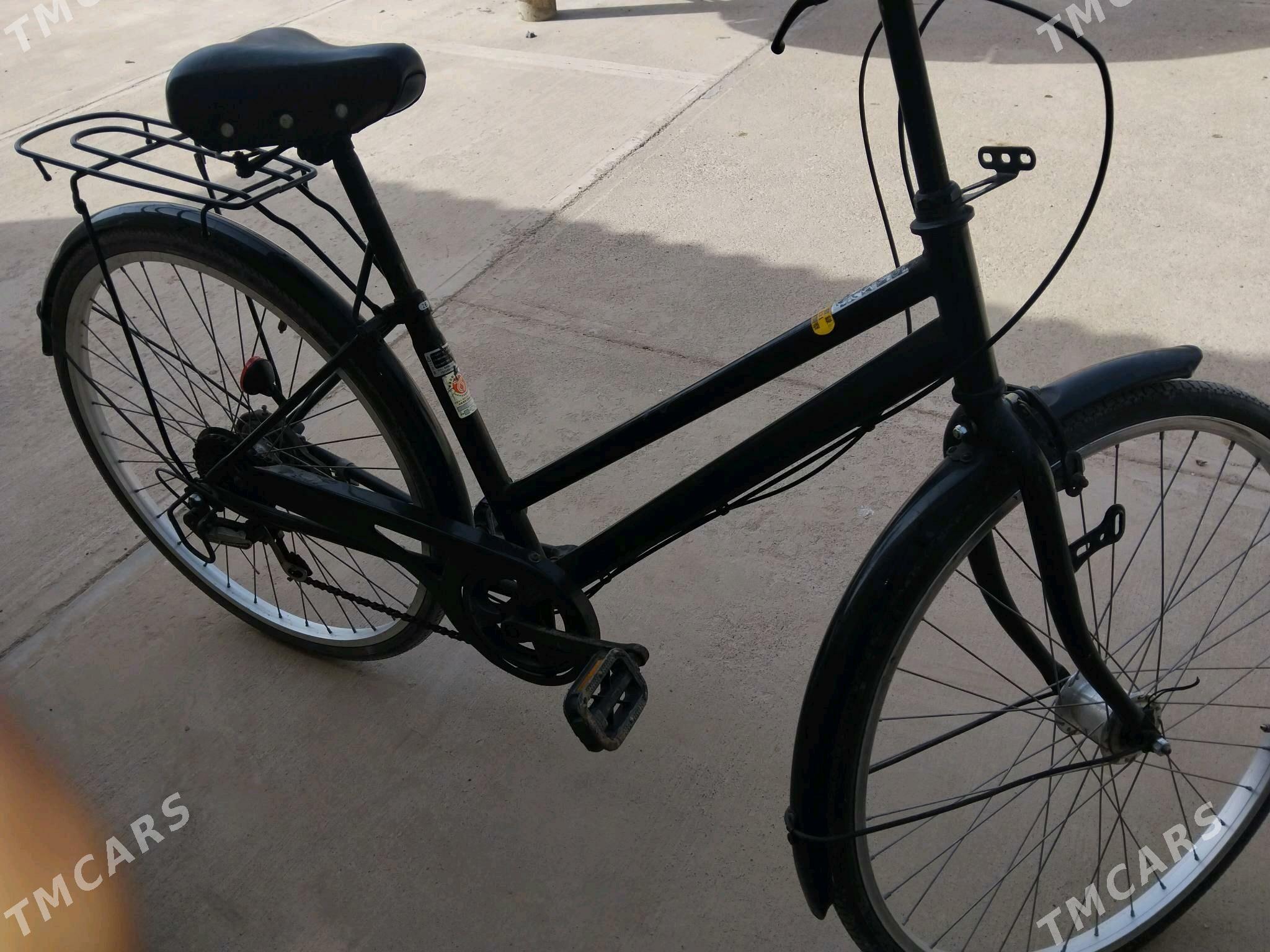 Tigir 26 - Tejen - img 2