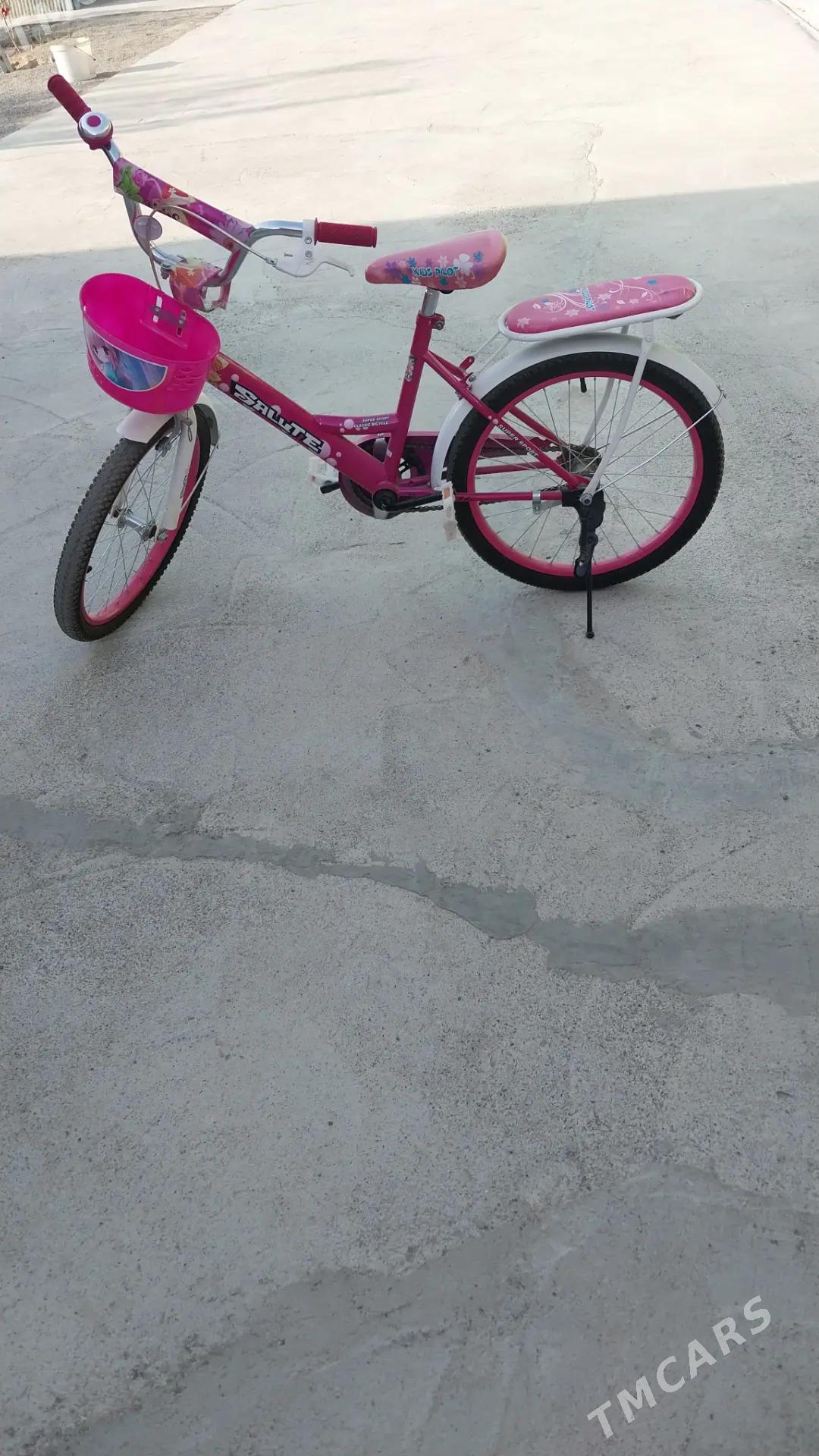 Tigir - Çoganly - img 2