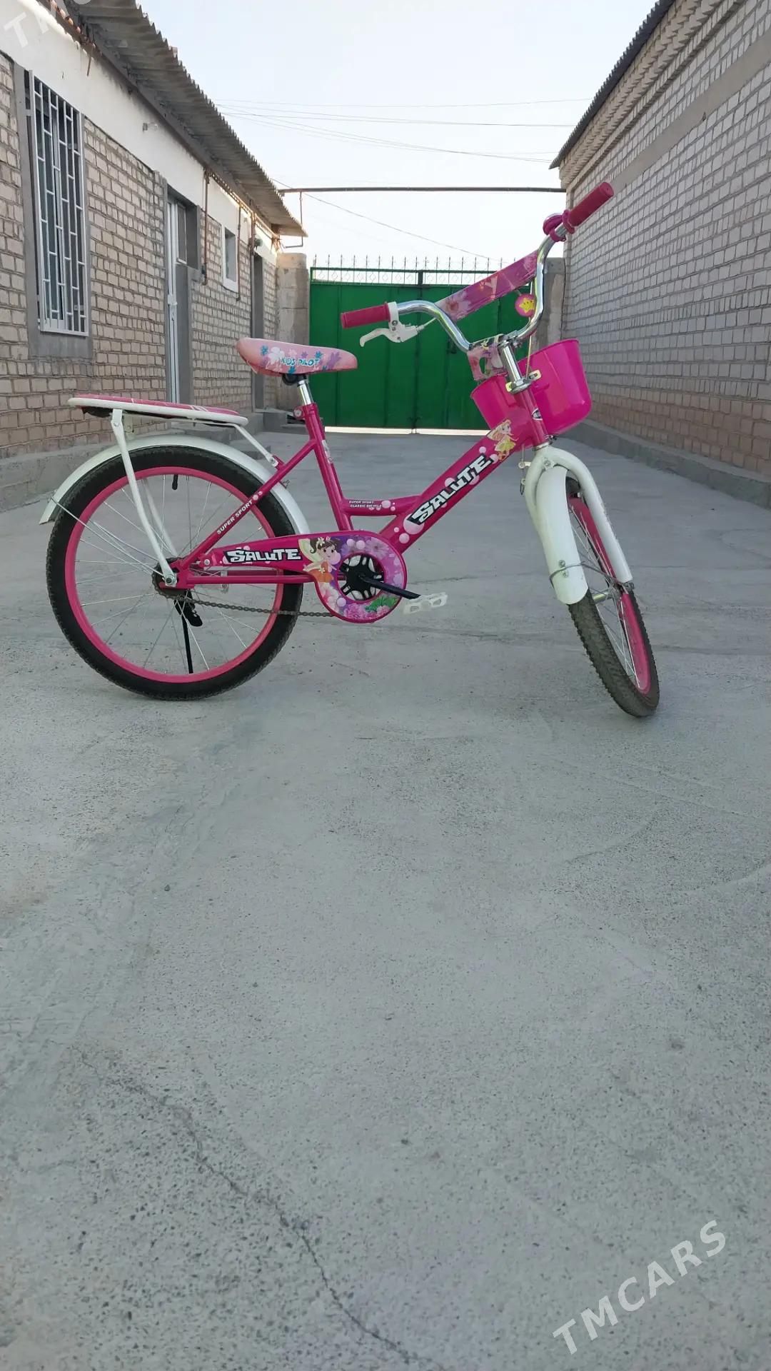 Tigir - Çoganly - img 1