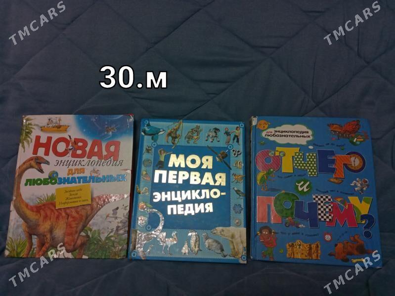 книги - Анев - img 3