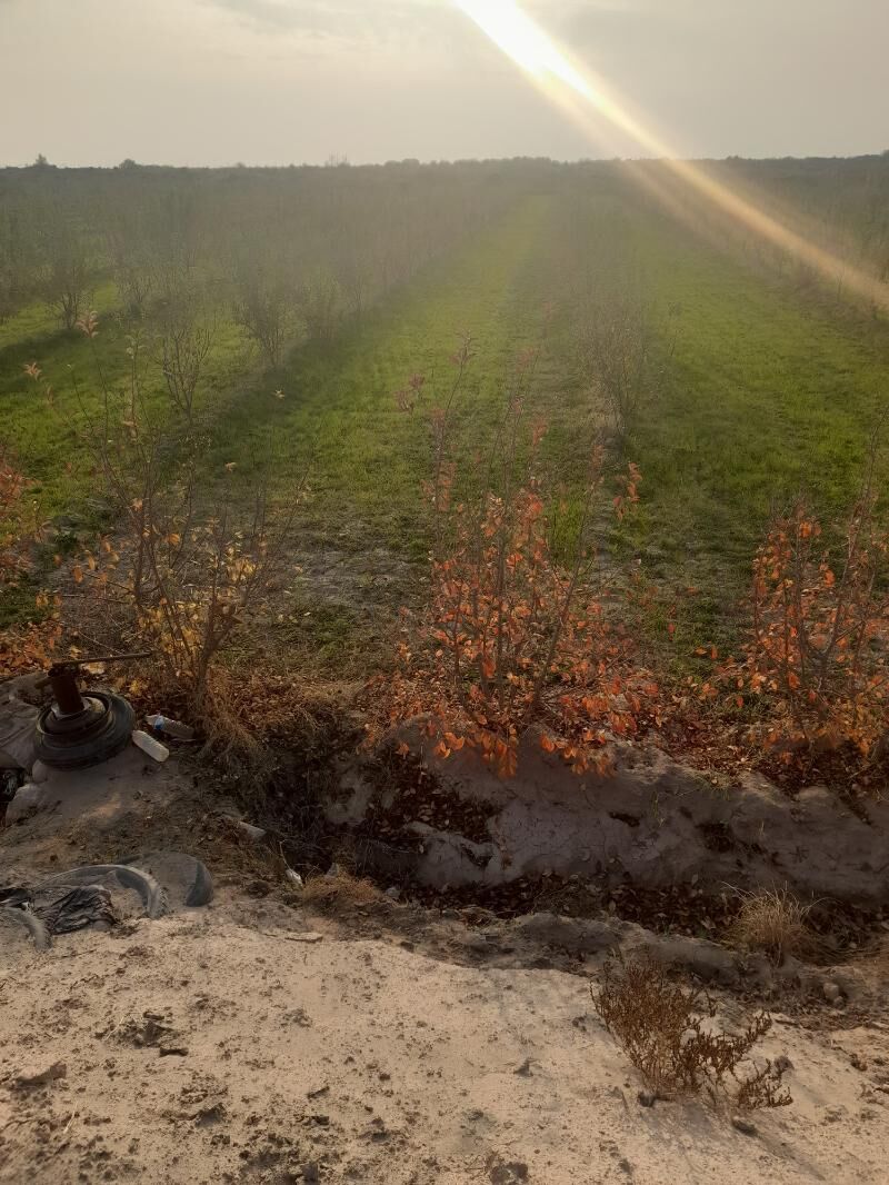 alma bag - Керки - img 3