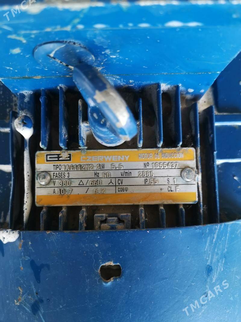 Bsuw Nasos - Чоганлы - img 2