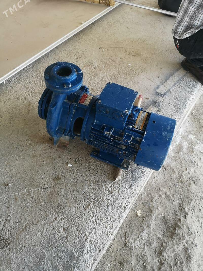 Bsuw Nasos - Чоганлы - img 3