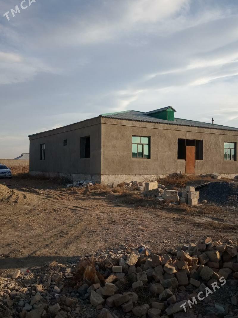 жай - Гёкдепе - img 2