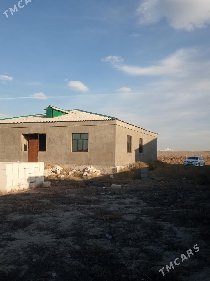 жай - Гёкдепе - img 1