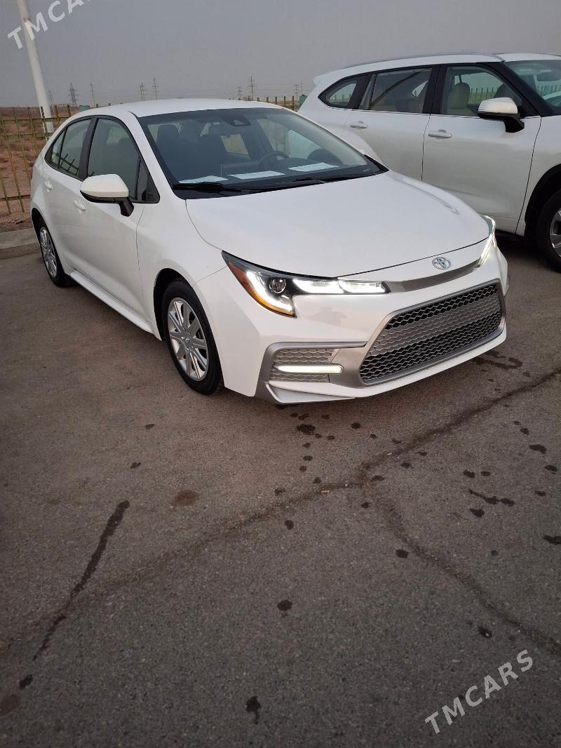 Toyota Corolla 2020 - 226 000 TMT - Ашхабад - img 2
