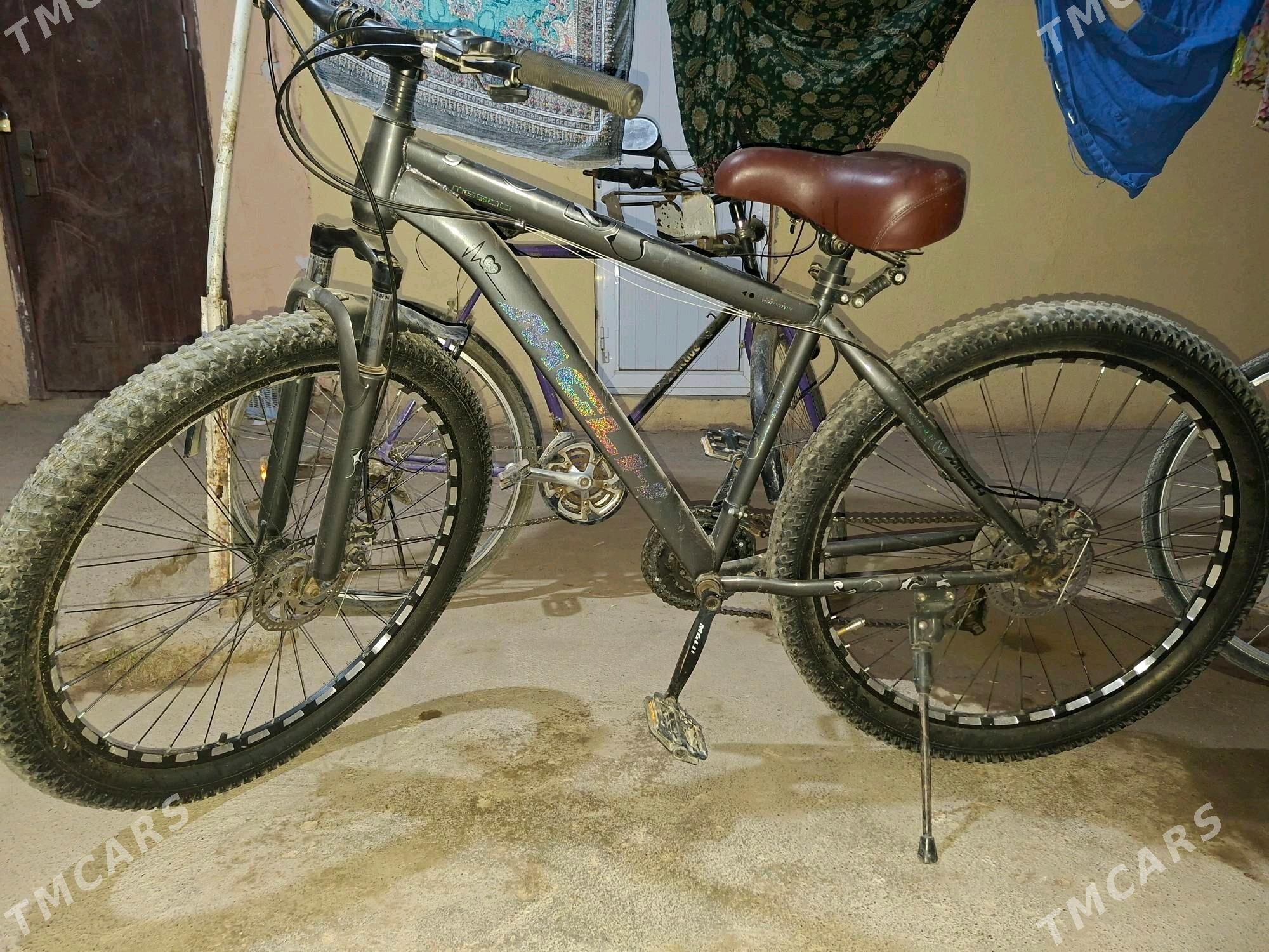 tigir 29 lyk - Бекреве - img 3