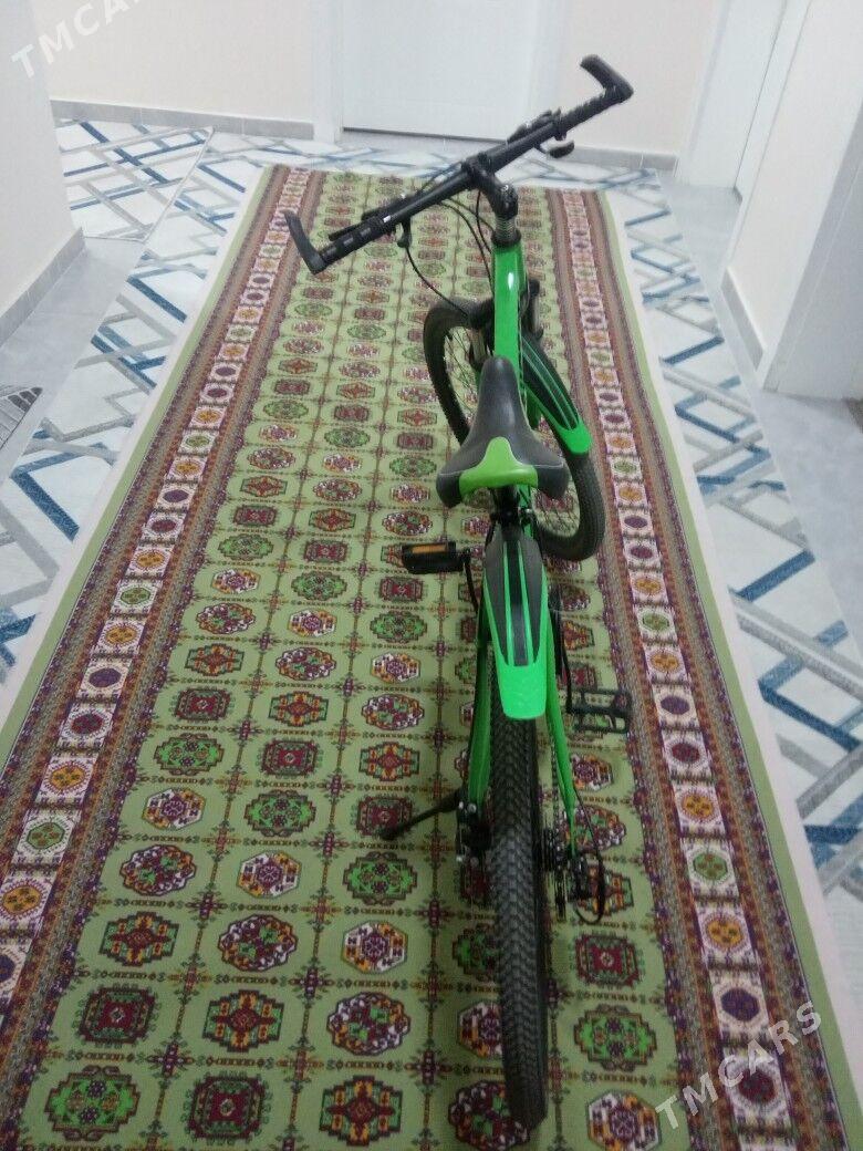 Turkmenistan tigir - Arkadag - img 3