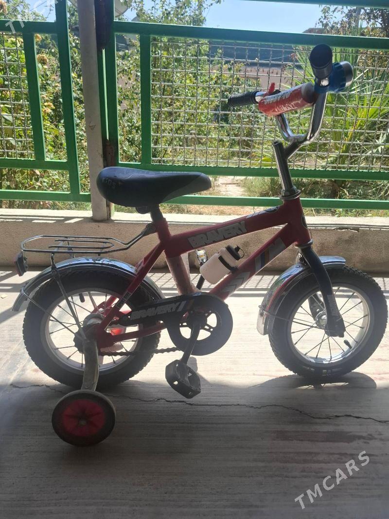 tigir - Änew - img 3