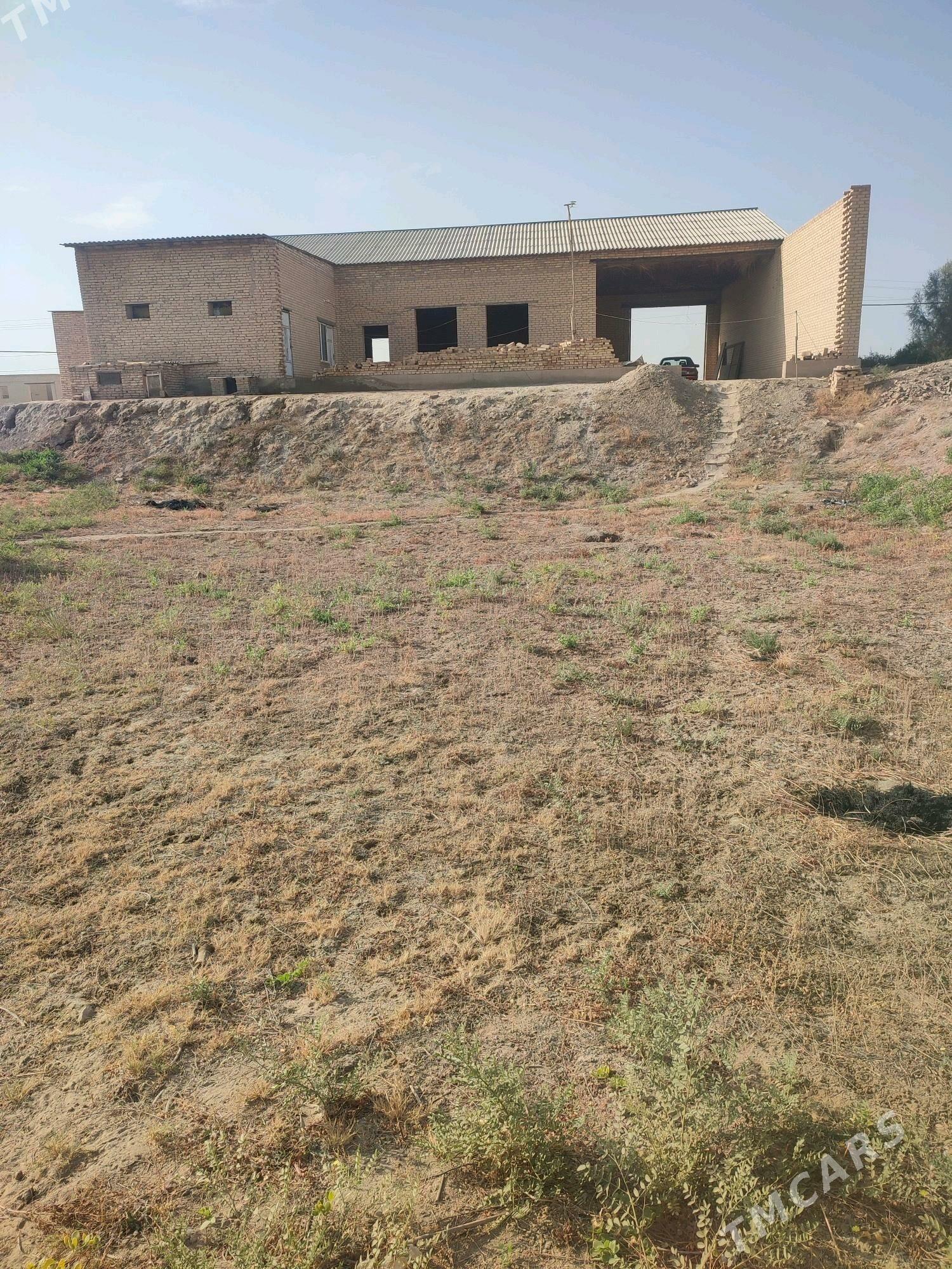 Satılık caý. Farap - Фарап - img 1