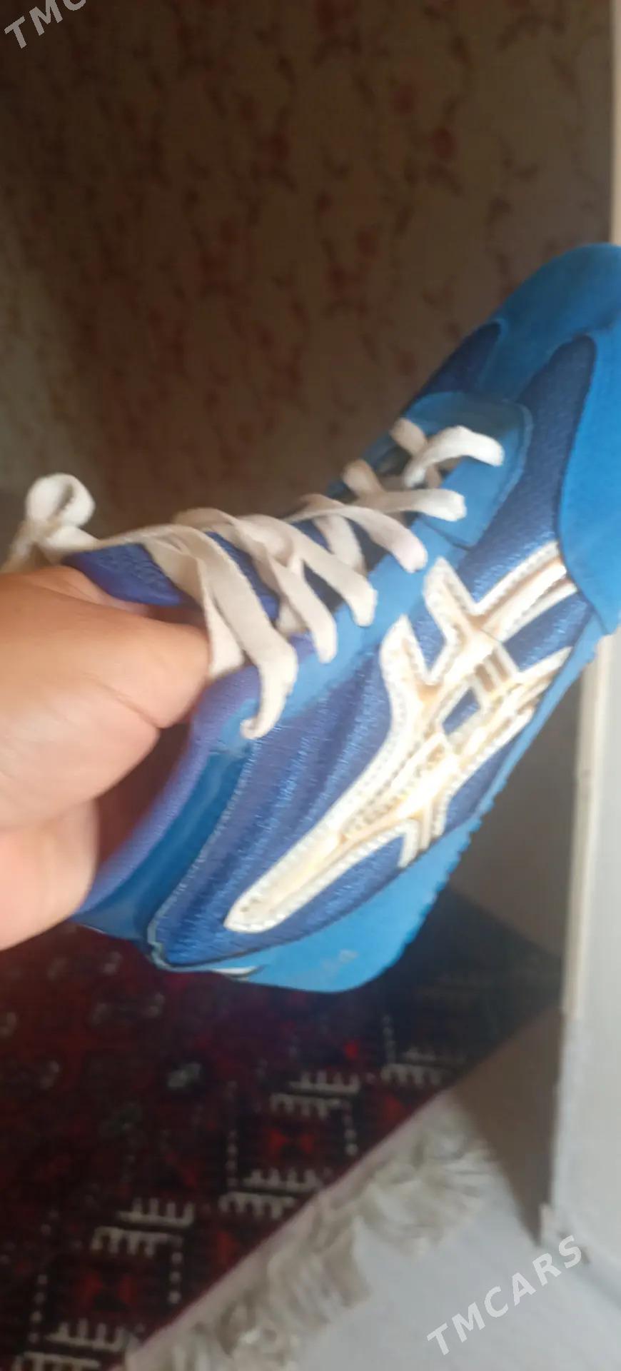 Ayakgap - Türkmenbaşy - img 2