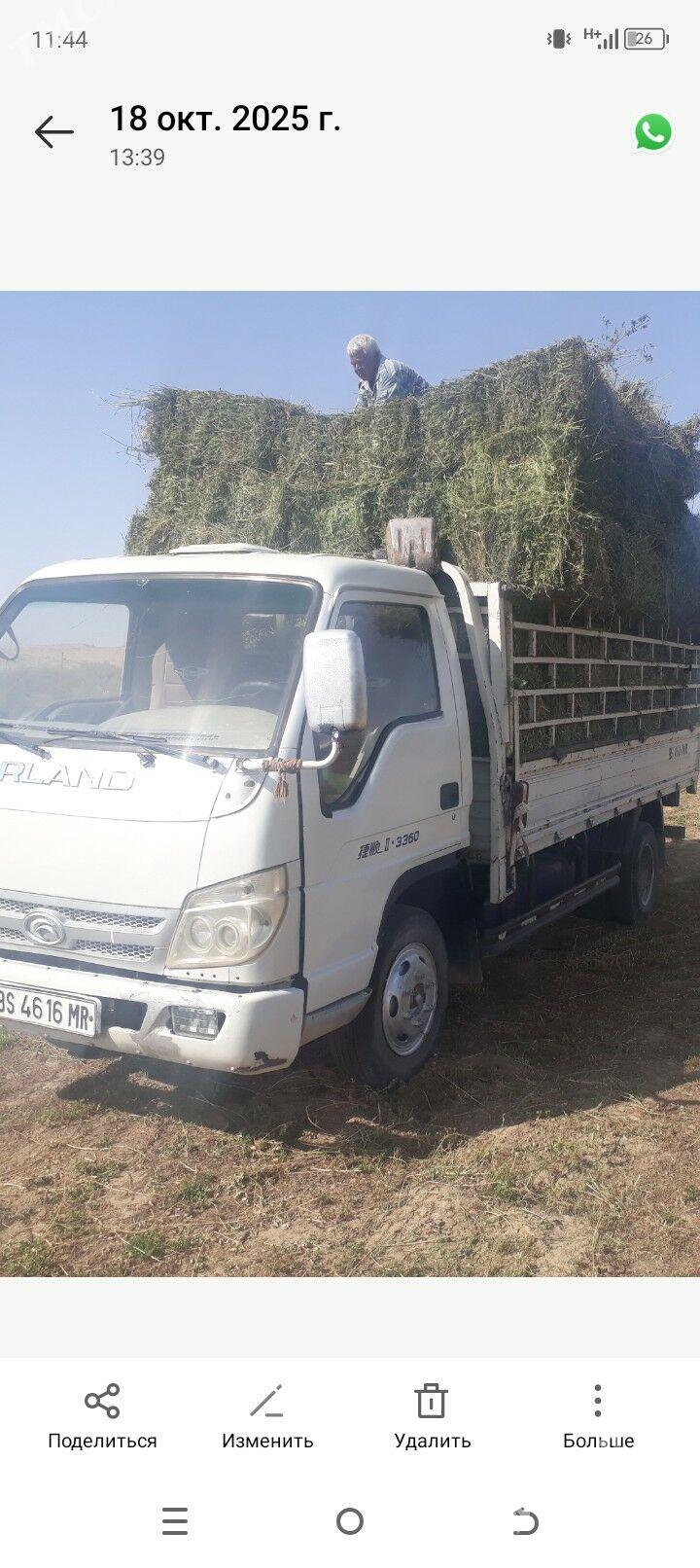 Forland H2 2012 - 110 000 TMT - Ёлётен - img 1