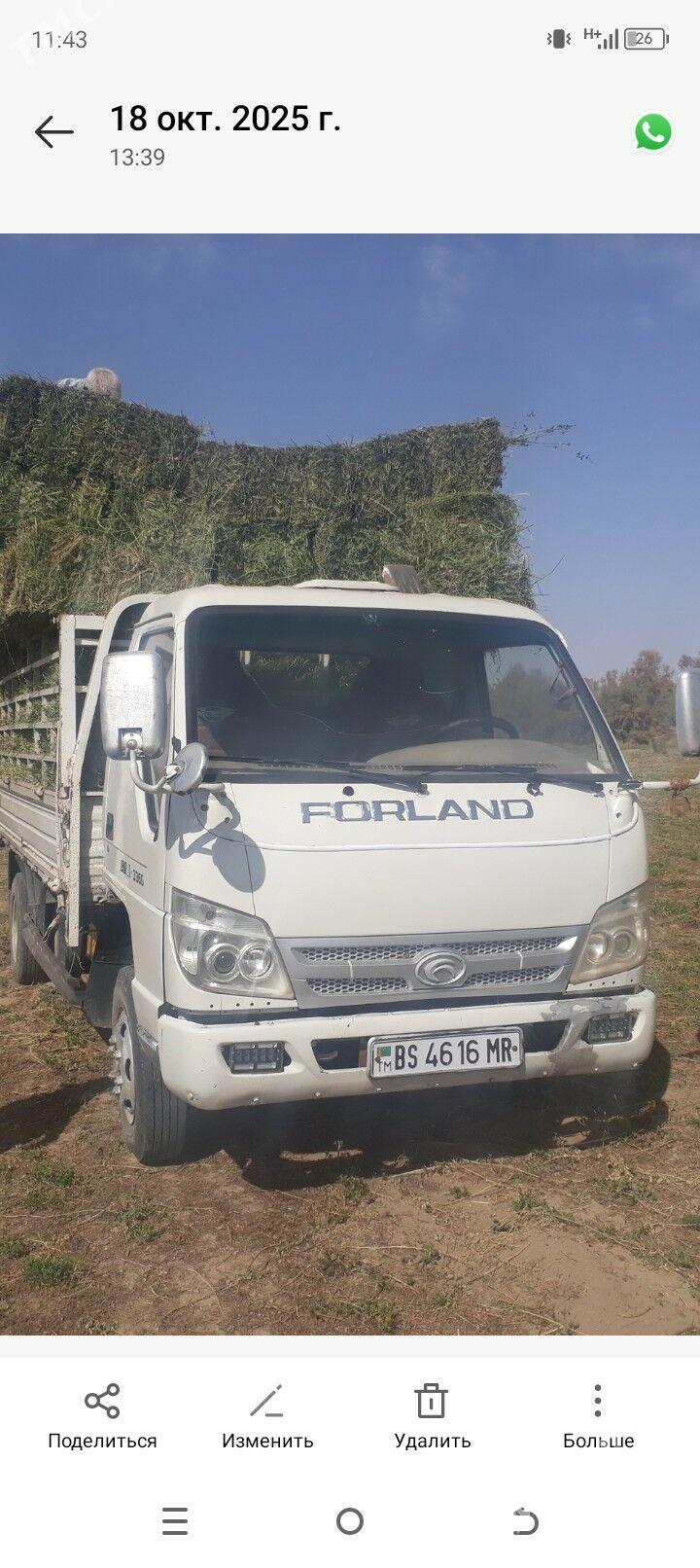 Forland H2 2012 - 110 000 TMT - Ёлётен - img 2