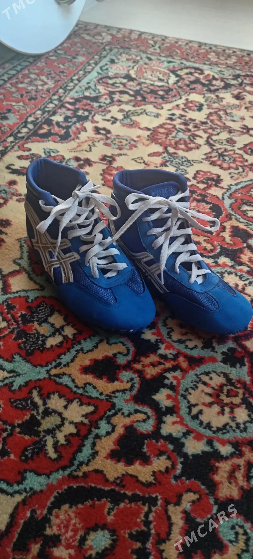 Ayakgap - Türkmenbaşy - img 3