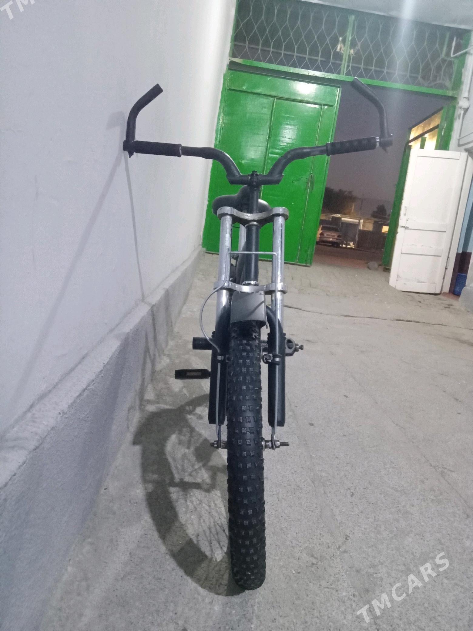 Dürt duga tigir welik - Bedew - img 2