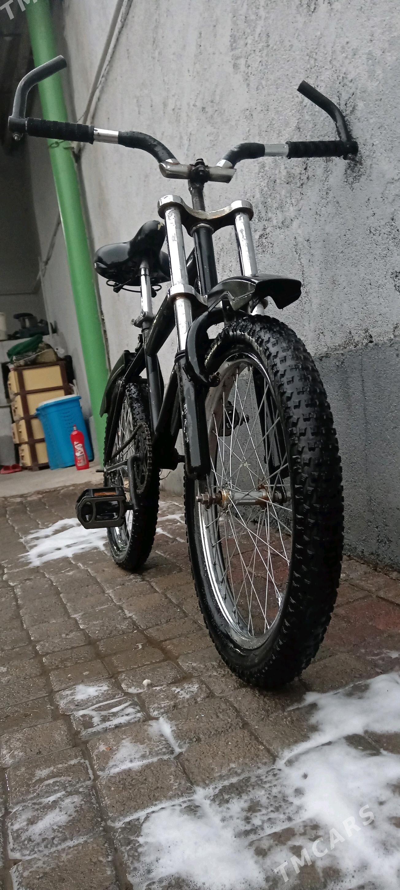 Dürt duga tigir welik - Bedew - img 5