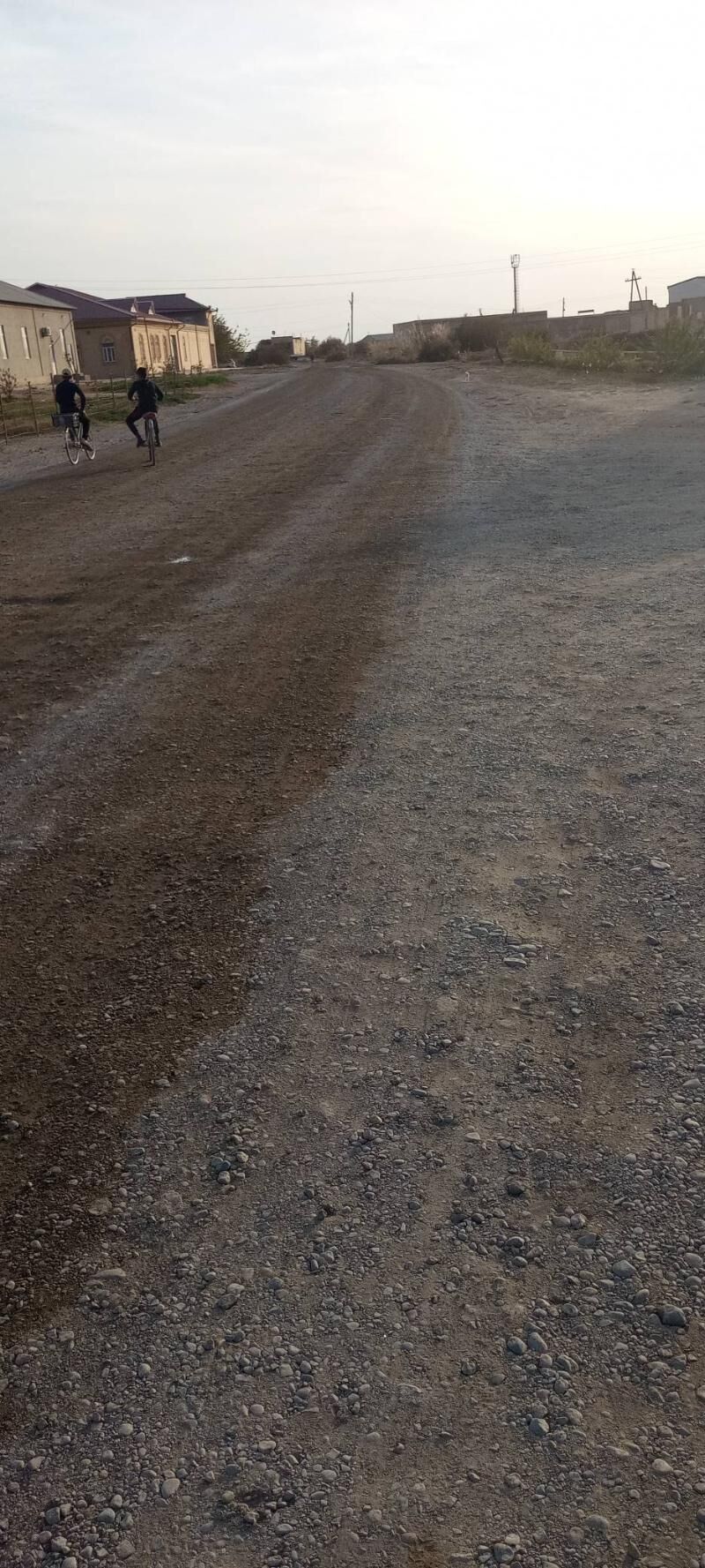 Satlyk jay - Çärjew - img 10