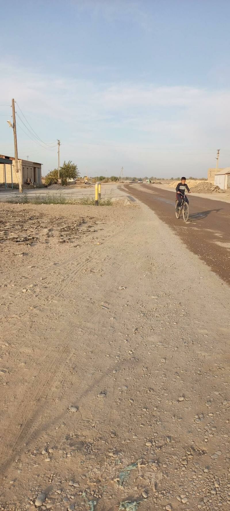 Satlyk jay - Çärjew - img 6