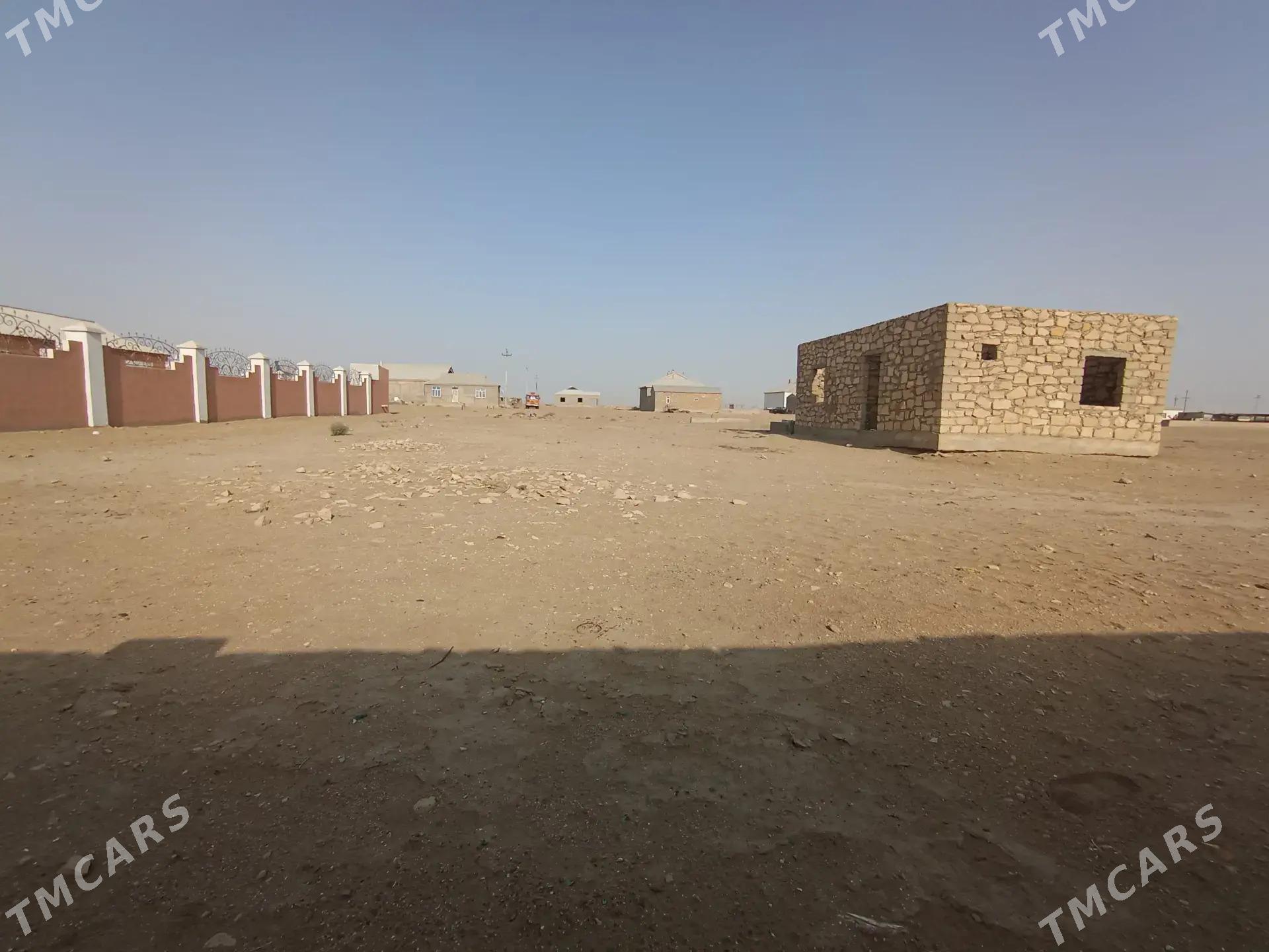 pricalda jay - Туркменбаши - img 2