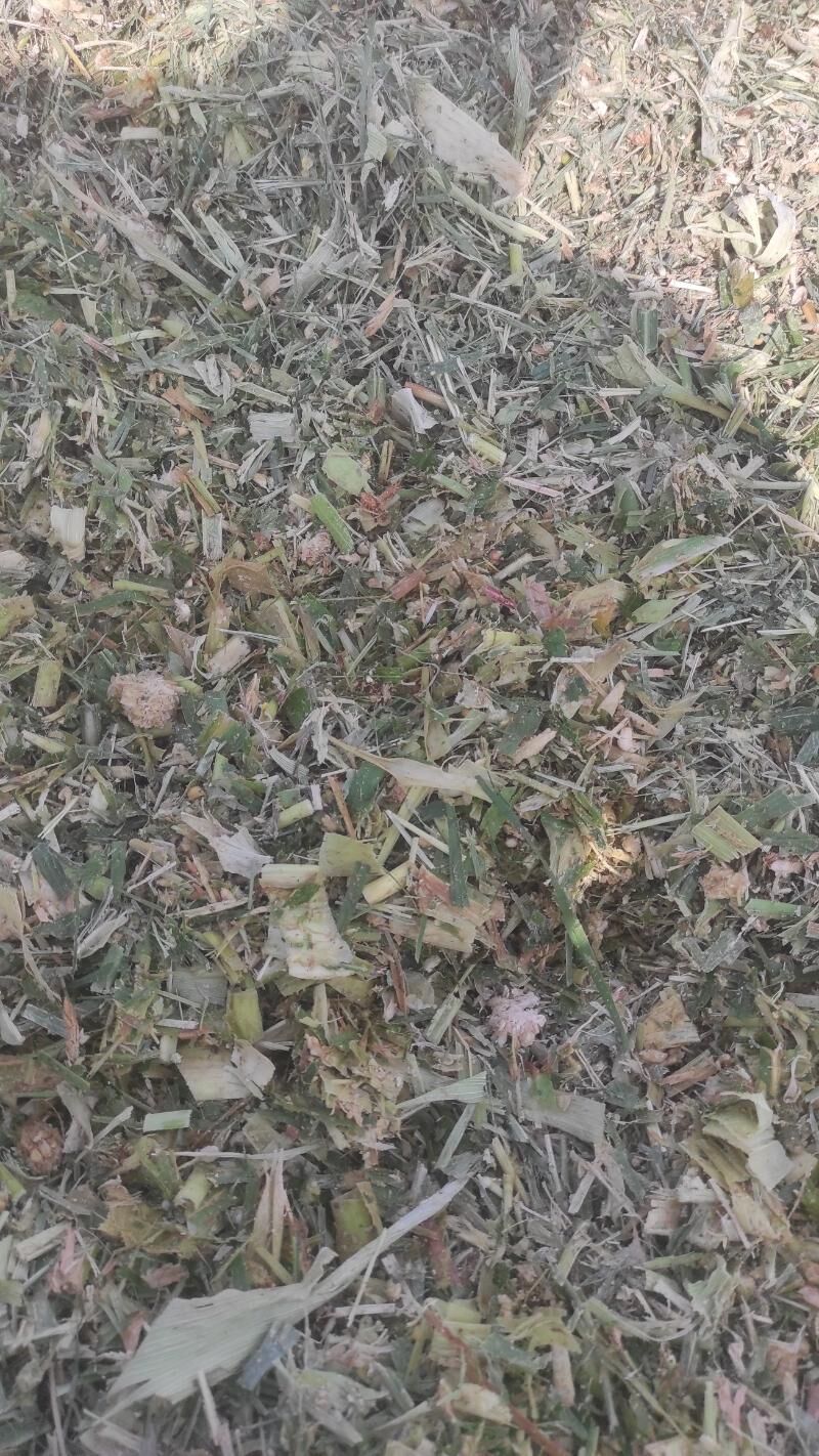 Mekge - Яшлык - img 2