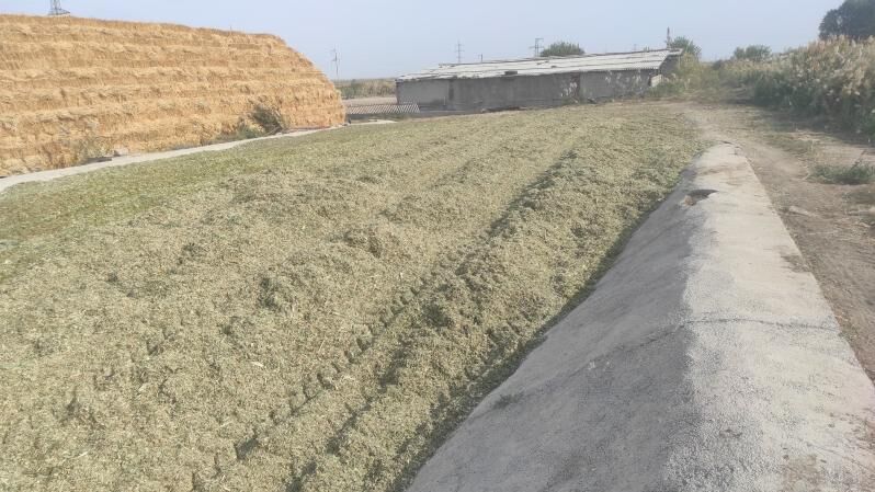 Mekge - Яшлык - img 3