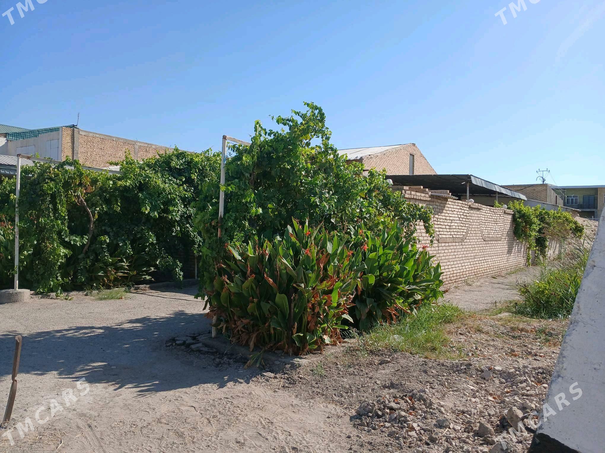 satlyk jay - Туркменабат - img 2