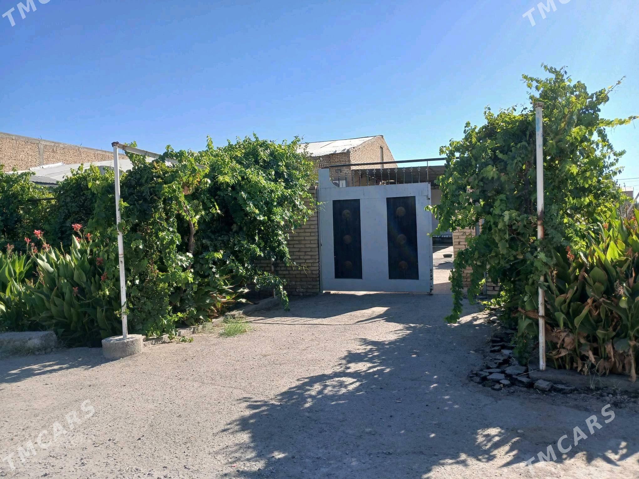 satlyk jay - Туркменабат - img 1