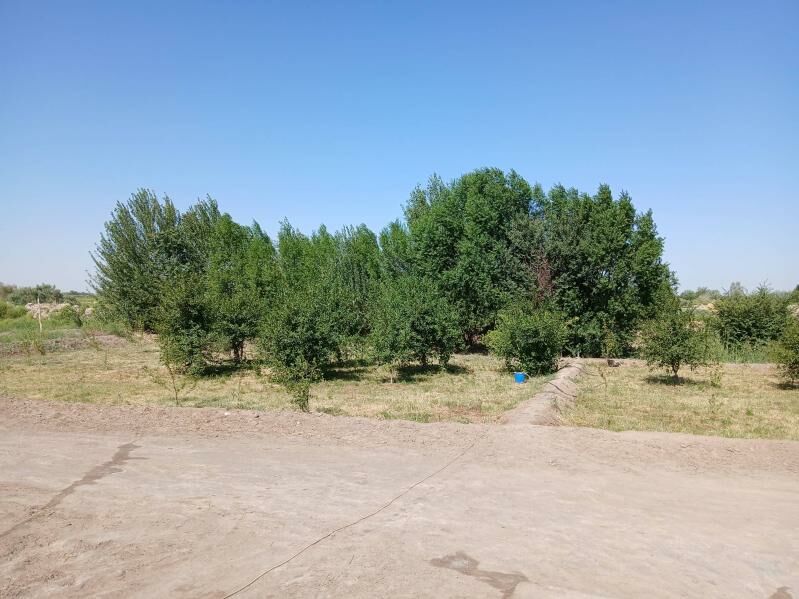 учаска 16 сотык дом - Шабатский этрап - img 7