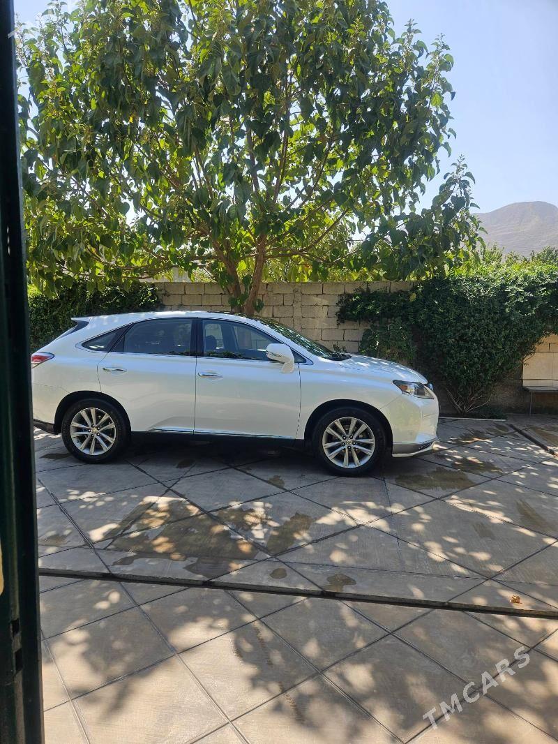 Lexus RX 350 2014 - 495 000 TMT - Ашхабад - img 9