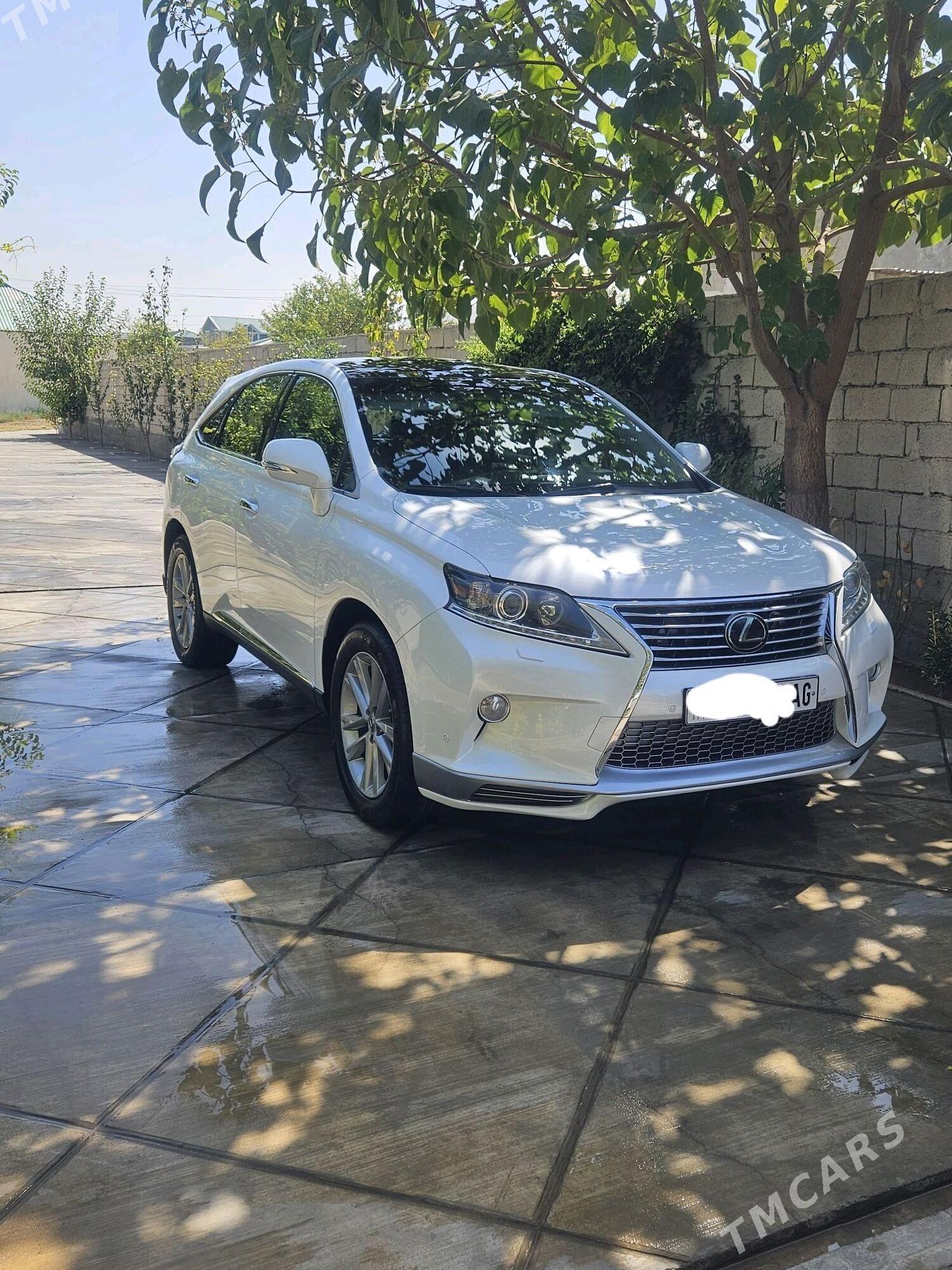 Lexus RX 350 2014 - 495 000 TMT - Ашхабад - img 2