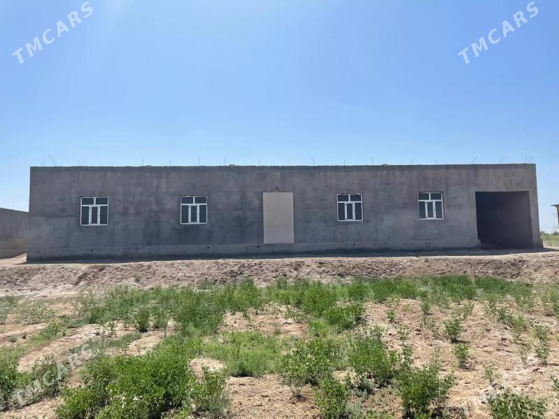 Jay - Акдепе - img 5