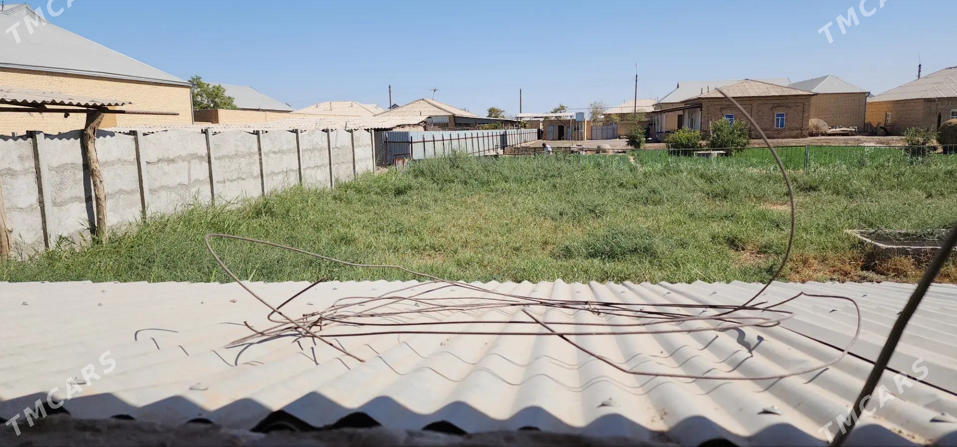 Satlyk jaý Wekilbazar etrap Egriguzer - Mary - img 4