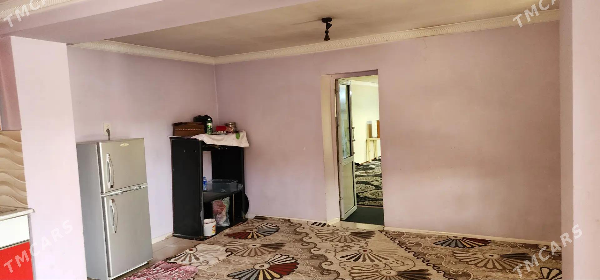 Satlyk jaý Wekilbazar etrap Egriguzer - Mary - img 2